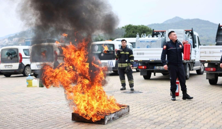 10349_1774420489.3362