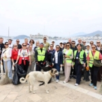 bodrum temizlik