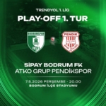 bodrum pendik