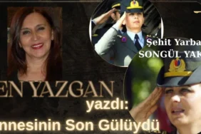 şen yazgan