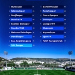 bodrumspor fikstür